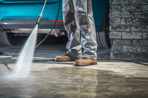 Best Winterizing Services  in Elkland, PA